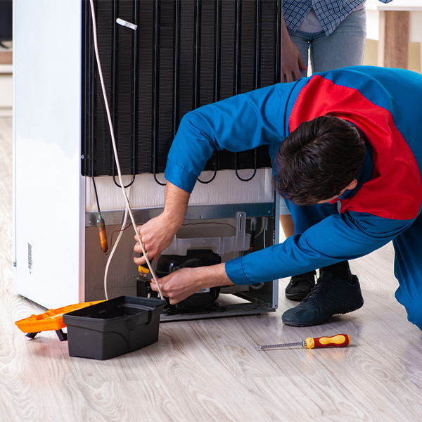 what are the common refrigerator repair services in Dundee OR